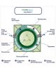 Гринлос Аква 3 - фото 5
